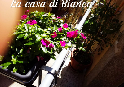 Casa Vacanze Appartamento La Casa Di Bianca